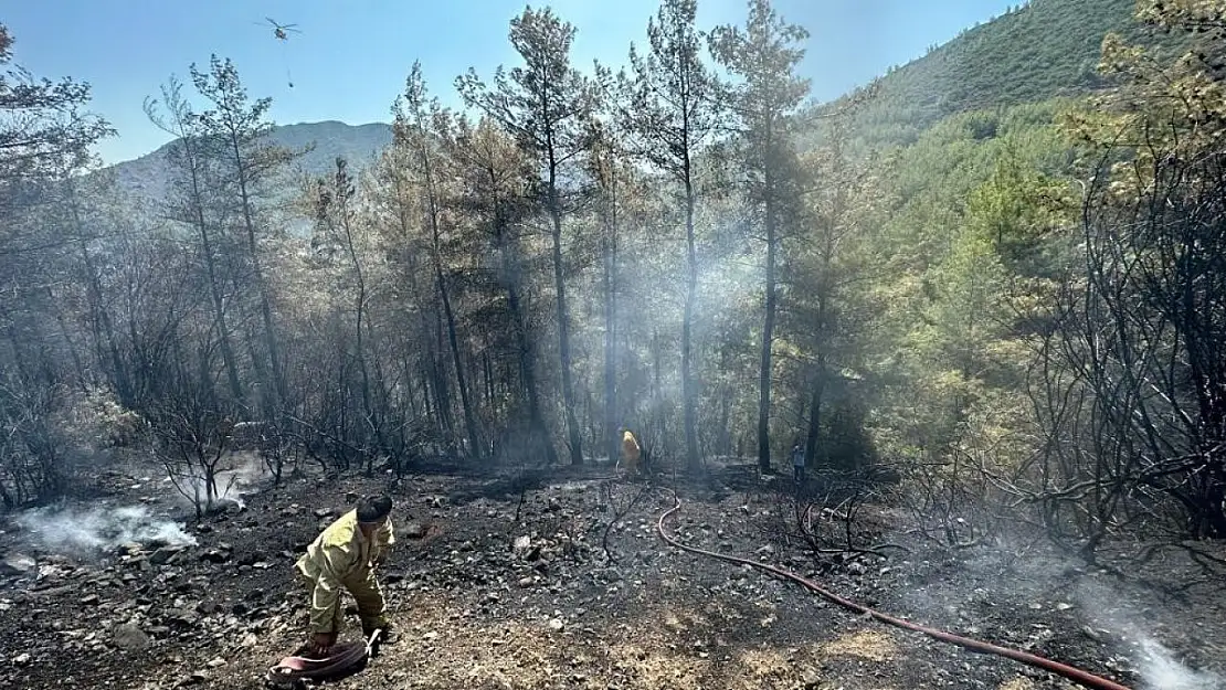 Marmaris'te çıkan orman yangını kısa sürede kontrol altına alındı