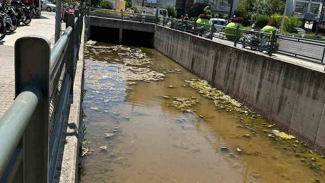 Marmaris'te dere kirliliği tepkisi: 'Bu manzara ilçeye yakışmıyor'