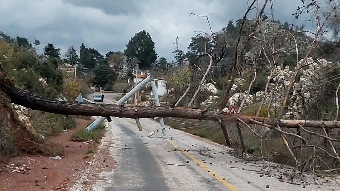 Marmaris'te fırtına hayatı olumsuz etkiledi