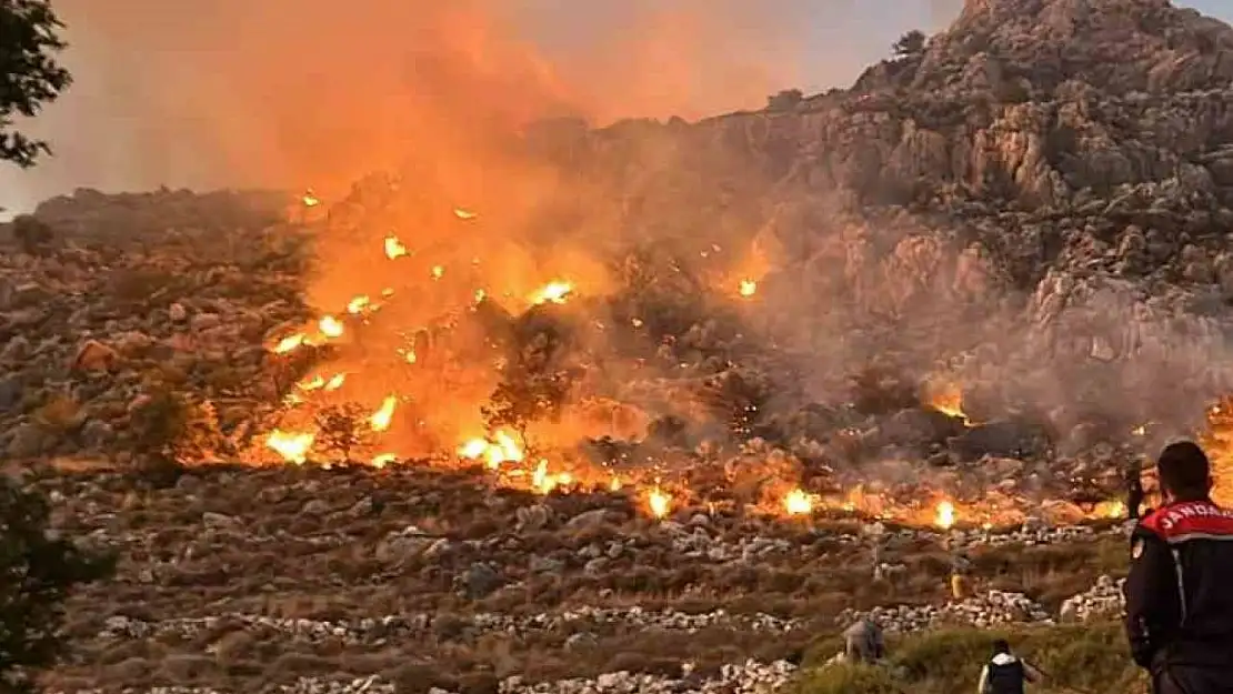 Marmaris'te makilik yangını