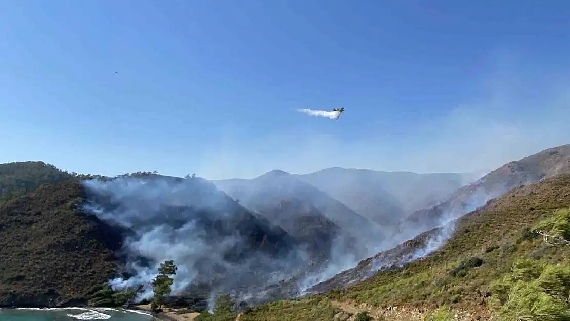 Marmaris'teki orman yangınına müdahale sürüyor