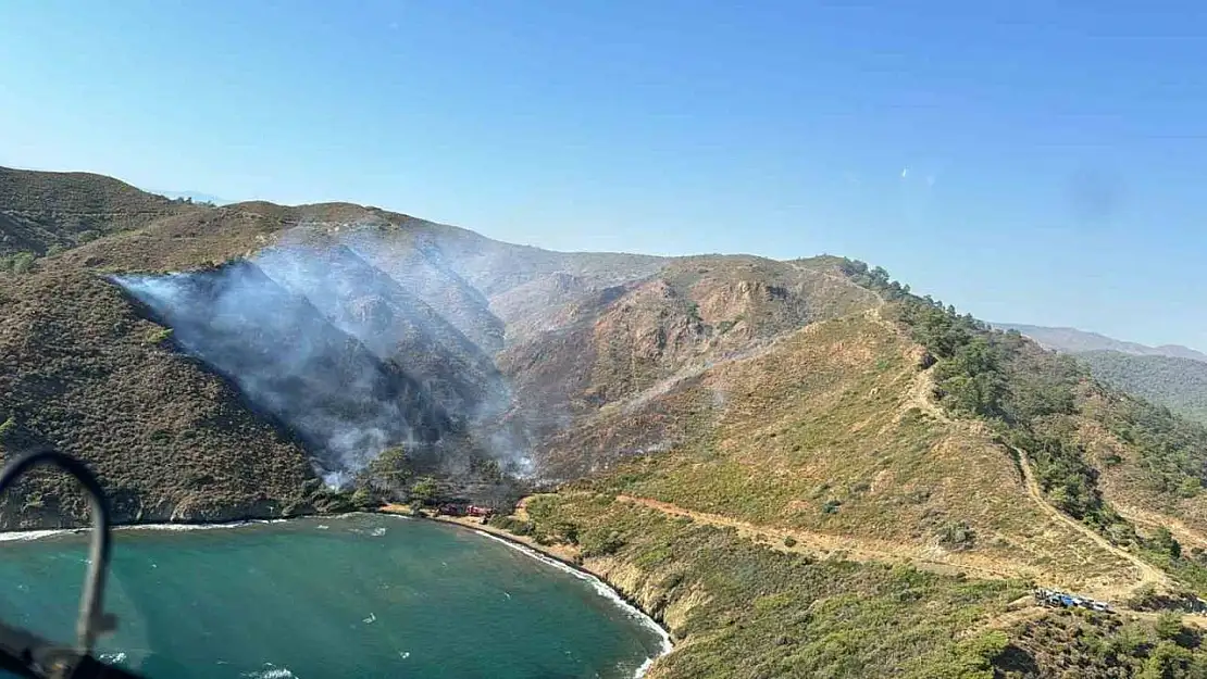 Marmaris'teki orman yangınında 5 hektar alan zarar gördü