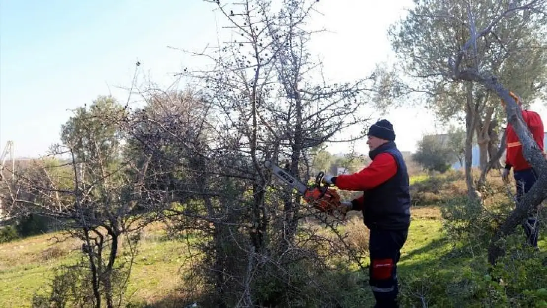 Menderes'teki piknik alanlarında budama ve temizlik çalışması