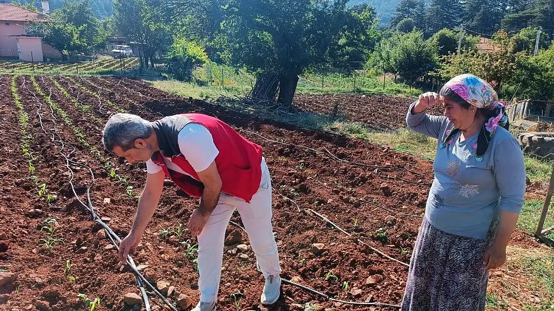 Menteşe'de tarım ekiplerinden ürün kontrolü ve çiftçi ziyareti gerçekleştirildi