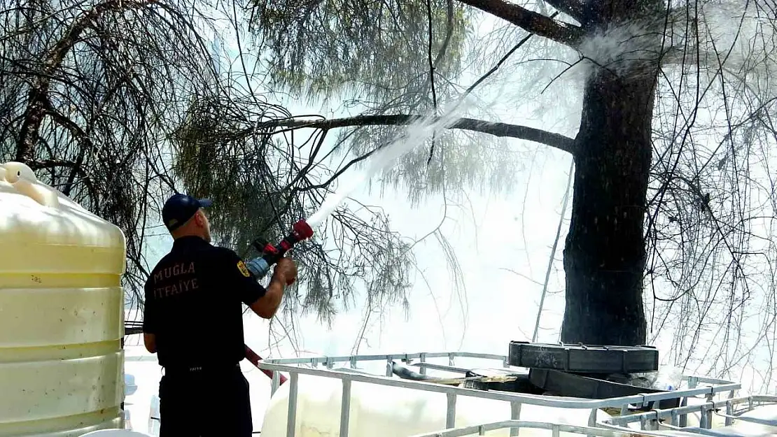 Menteşe'de yangın, ekiplerin zamanında müdahalesi ile söndürüldü