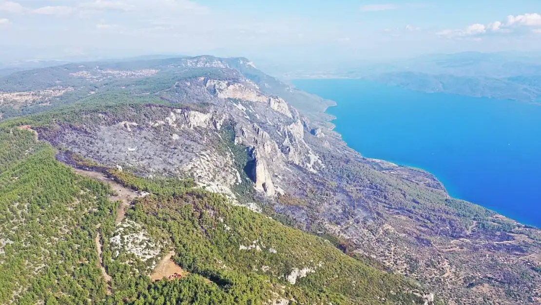 Menteşe'deki orman yangını kontrol altına alındı