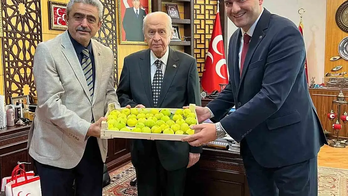 MHP Lideri Bahçeli'ye Aydın İnciri ikramı