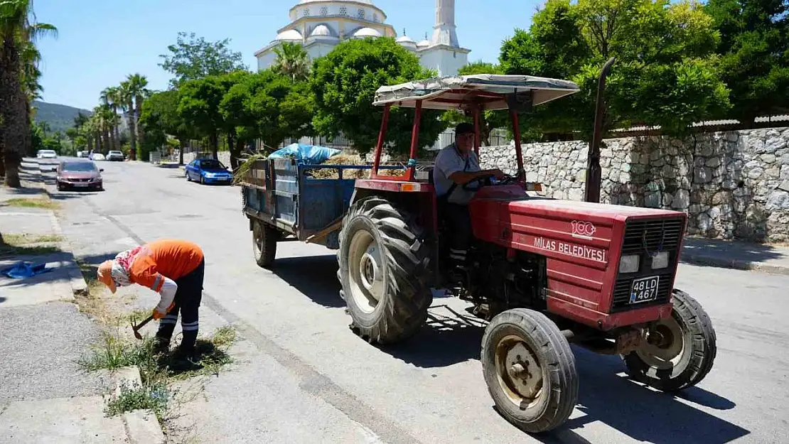 Milas Belediyesi ekipleri temizlik çalışmalarına devam ediyor