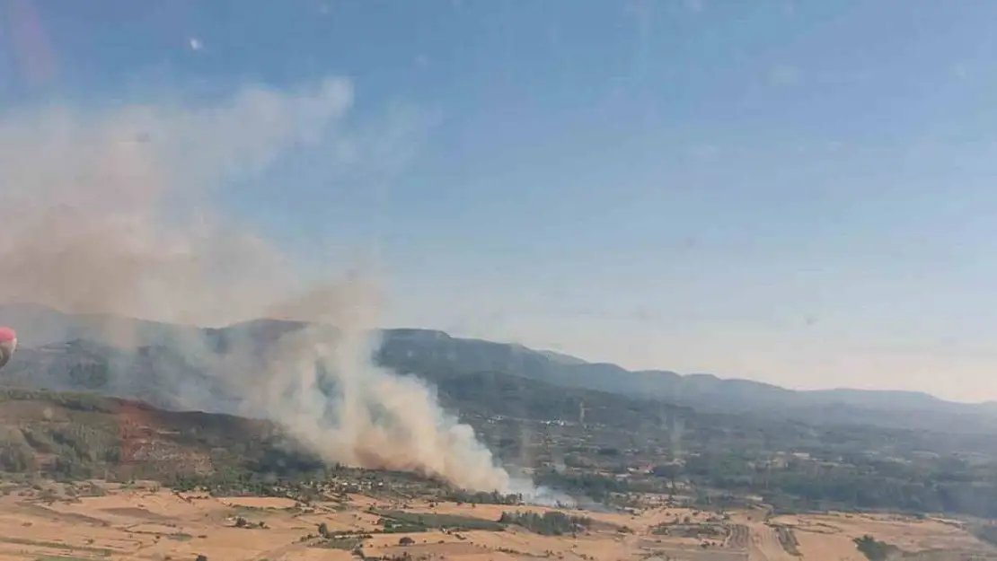 Milas Demirciler'de orman yangını