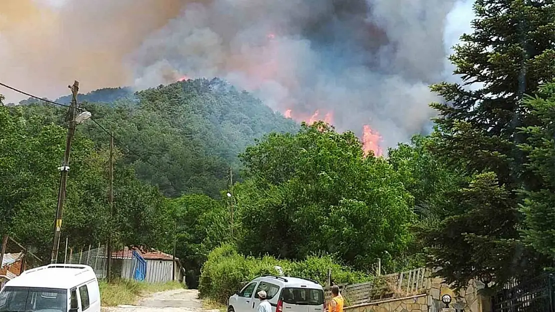 Milas'ta başlayan orman yangını büyüyor