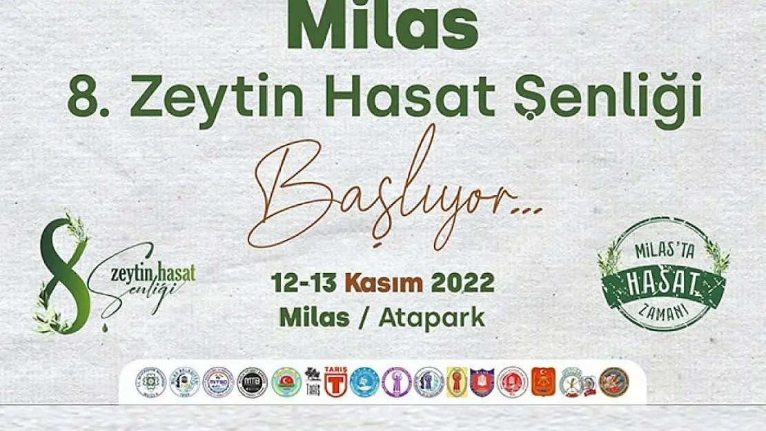 Milas'ta bu hafta sonu zeytin hasat şenliği düzenlenecek