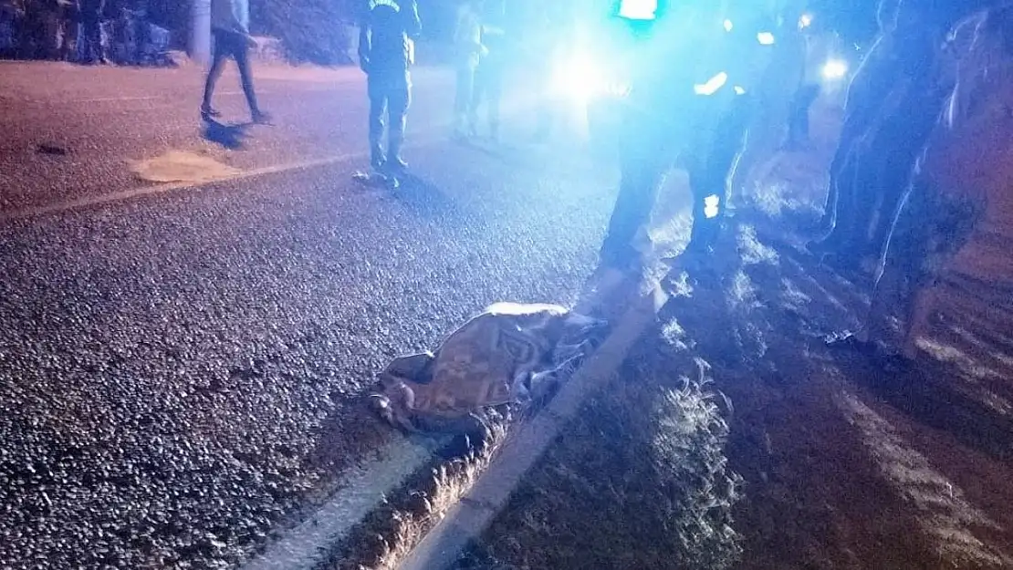 Milas'ta trafik kazası: 1 ölü