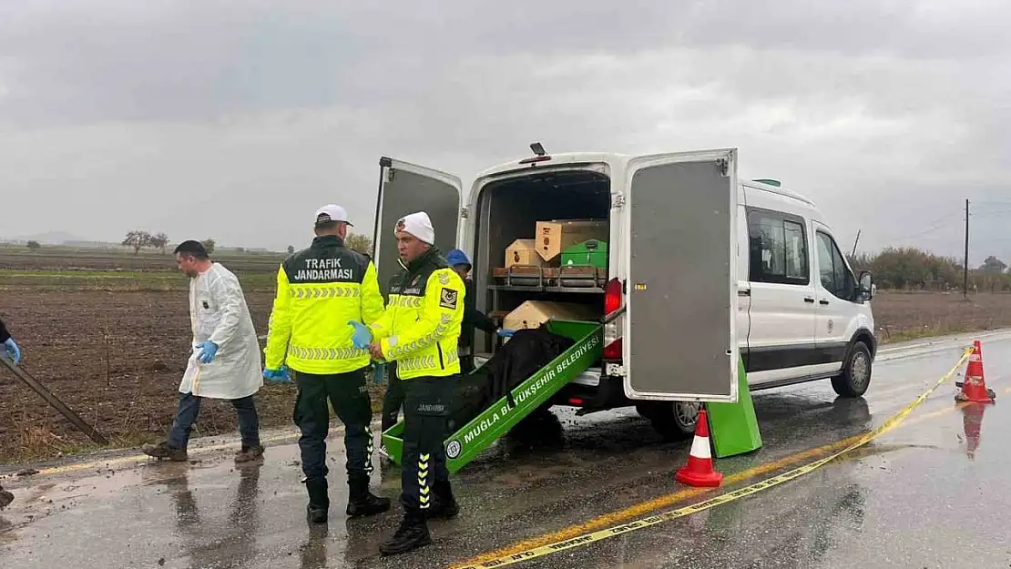 Milas'ta yol kenarında bulunan erkek cesedinin kimliği tespit edildi