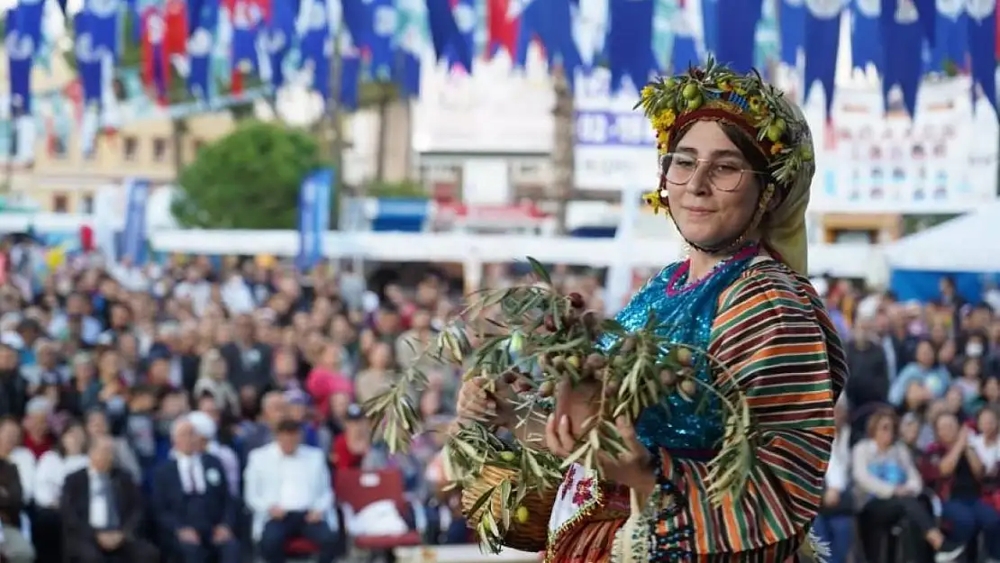 Milas'ta zeytin hasat şenliği için geri sayım başladı