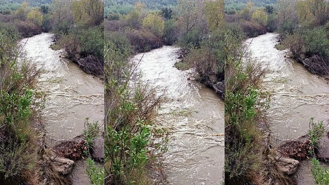 Milas'taki Hamzabey Çayı, eski günlerine geri döndü