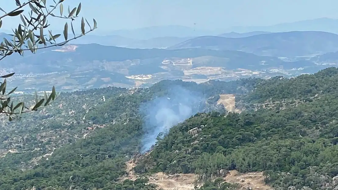 Milas'taki orman yangını büyümeden söndürüldü