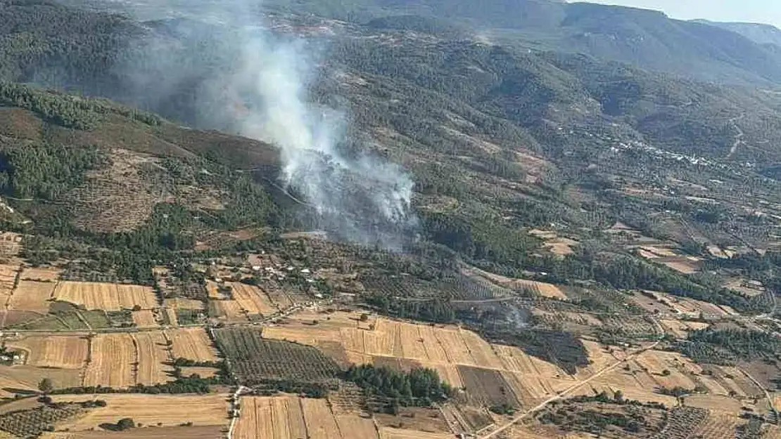 Milas'taki orman yangını kontrol altına alındı