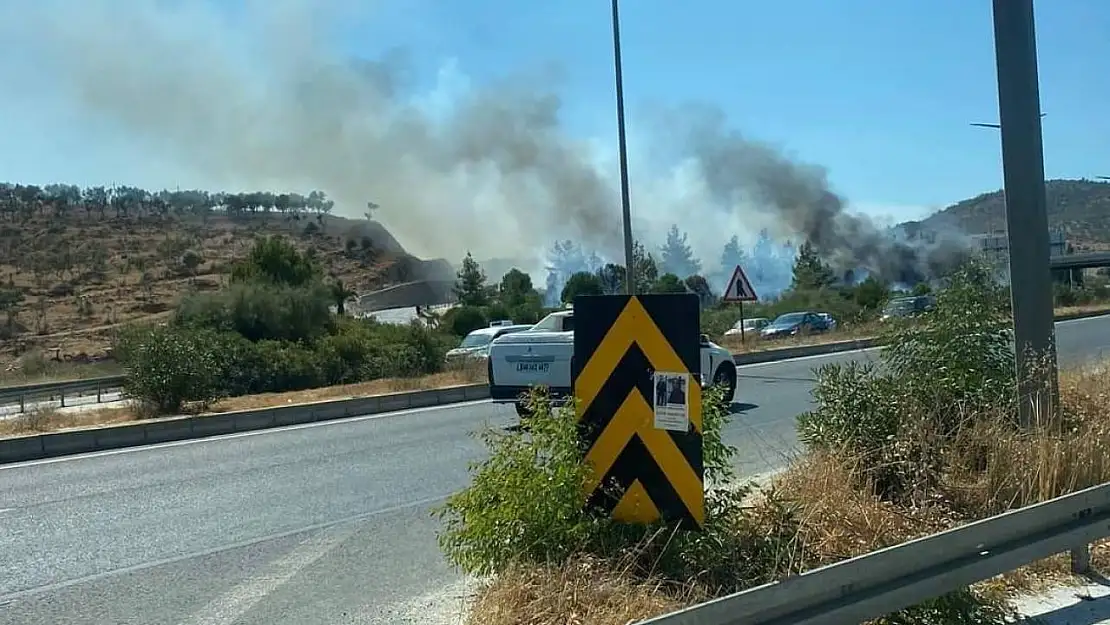 Milas'taki orman yangını kontrol altına alındı