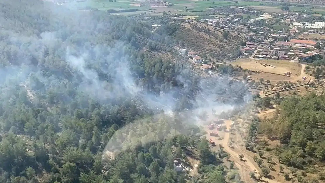 Milas'taki yangın büyümeden söndürüldü