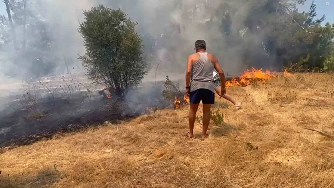 Milas yangınına havadan karadan müdahale