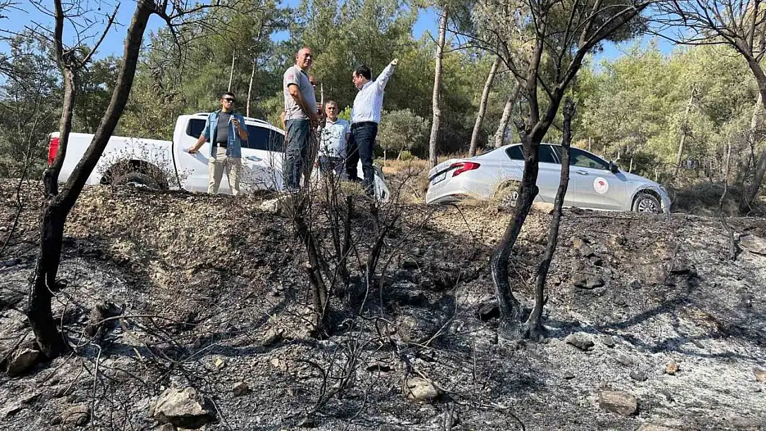 Milas yangınında 13 dekar tarım alanı zarar gördü