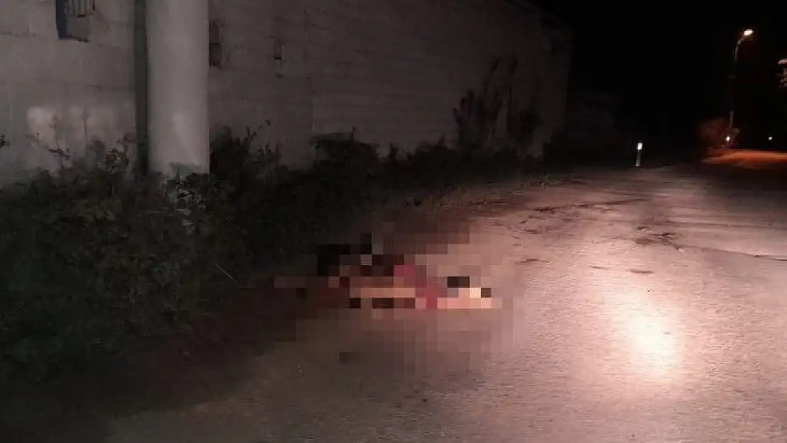 Minibüs sürüye daldı: 10 hamile koyun telef oldu