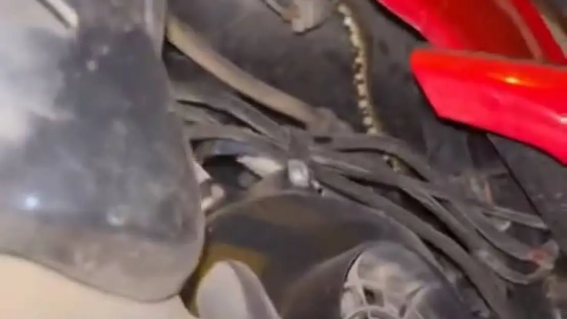 Motosikletin içine giren yılanı tek hamlede çıkardı