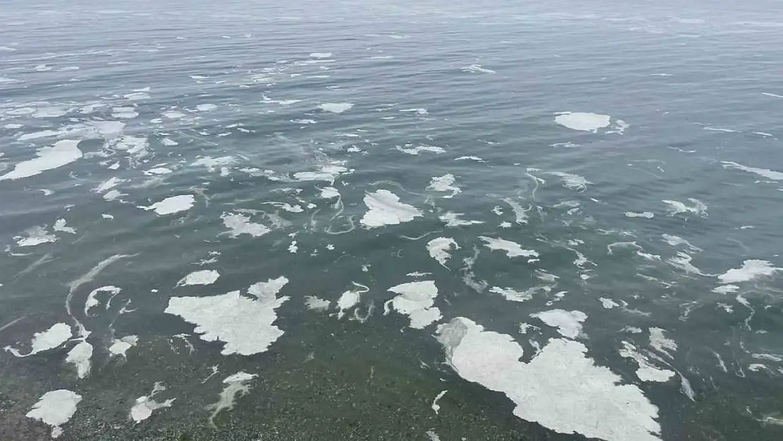 Mudanya'yı müsilaj sardı, deniz beyaz tabakayla örtüldü