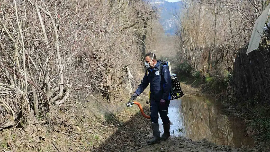 Muğla Büyükşehir'den 13 ilçede vektörle mücadele