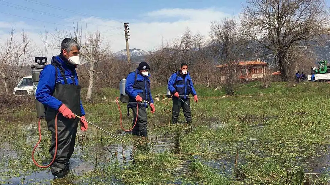 Muğla Büyükşehir'den vektörle mücadele