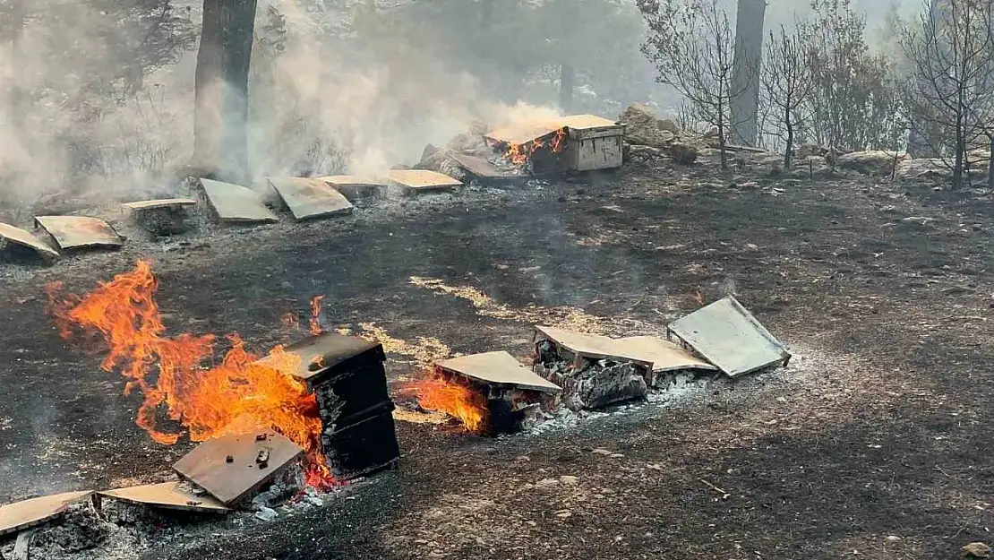 Muğla Büyükşehir'den yangından etkilenen arıcılara destek