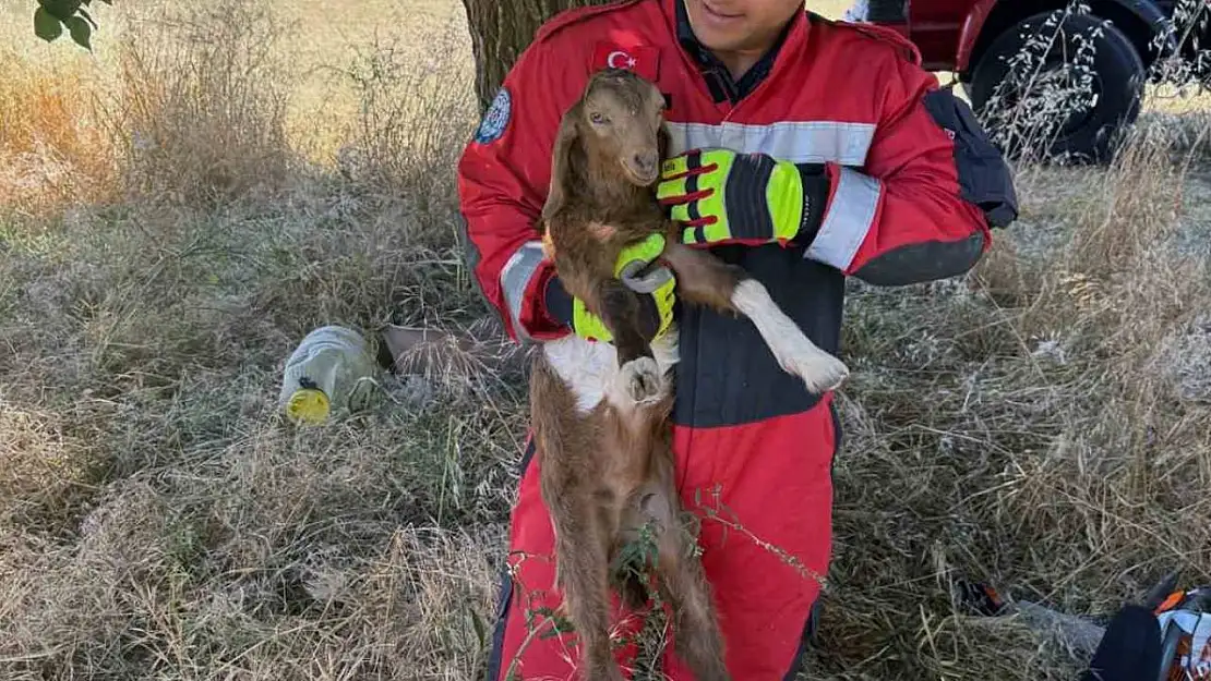 Muğla Büyükşehir İtfaiyesi 5 ayda 296 hayvanı kurtardı