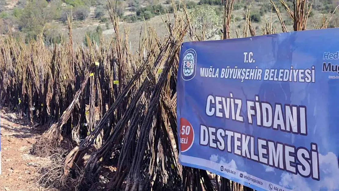 Muğla Büyükşehirden 'Her Kapıda Bir Fidan' projesi