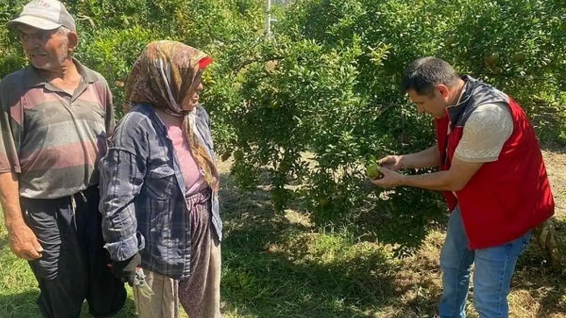 Muğla'da 'zararlı' kontrolü