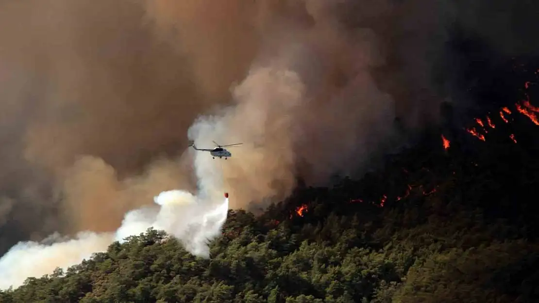 Muğla'da 31 Ekim'e kadar ormanlara giriş yasaklandı