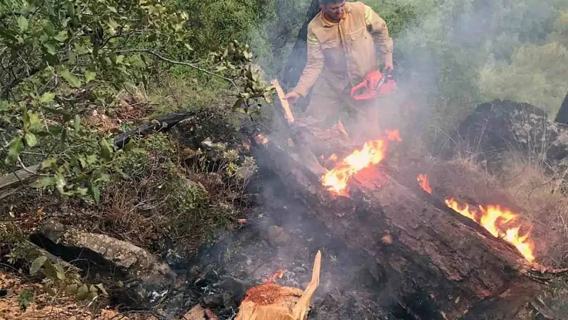 Muğla'da 5 günde 50 yıldırım yangını