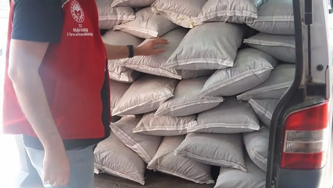 Muğla'da bin 460 kg kaçak çay yakalandı