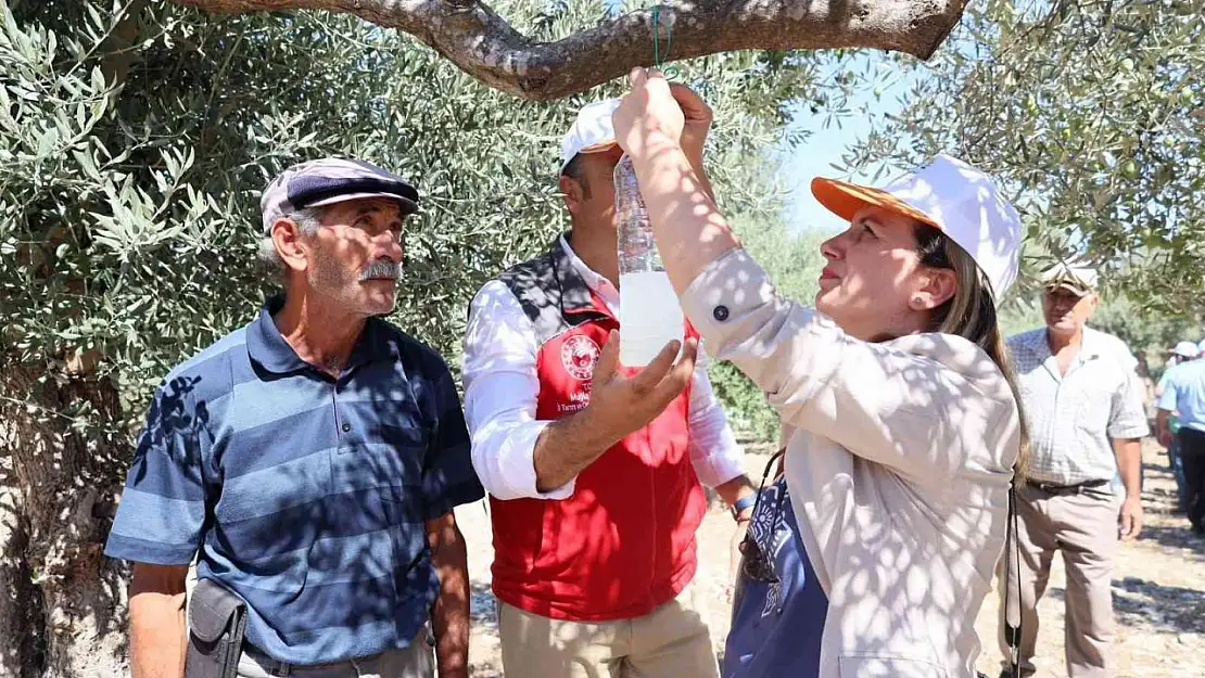 Muğla'da iyi tarım uygulamaları çalışmaları yapılıyor