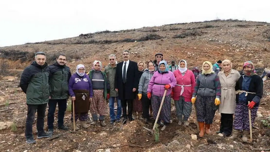 Muğla'da Şehit Yakınları Şehitler anısına fidan dikti