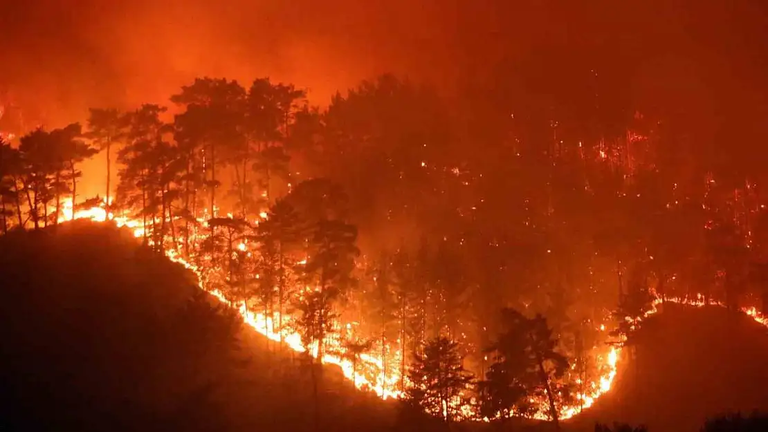 Muğla'da yaz sezonunda günde ortalama 6 yangına müdahale edildi