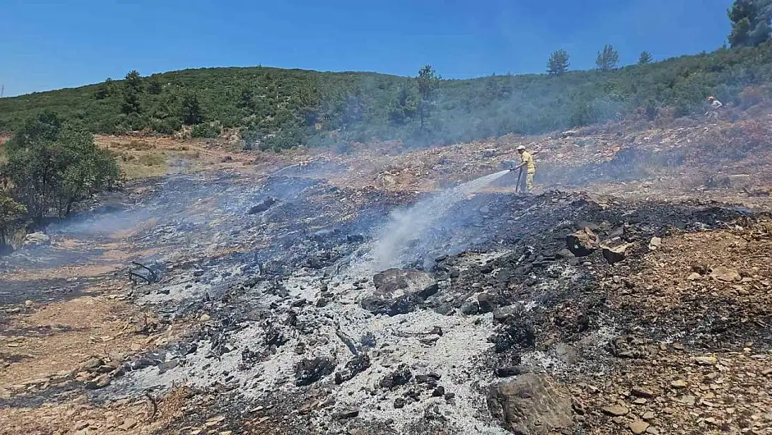 Muğla'daki arazi yangını kontrol altına alındı