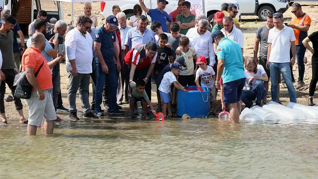 Muğla'daki baraj ve göletlere 370 bin sazan yavrusu bırakıldı