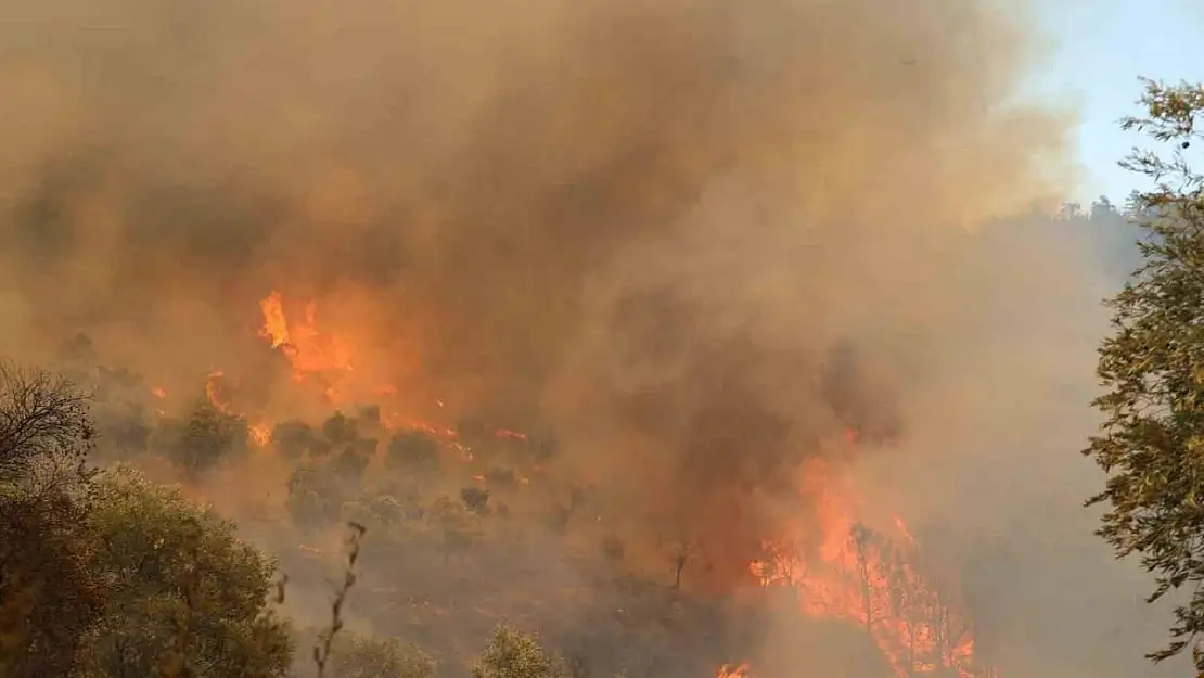 Muğla'daki yangın yolu kapattı