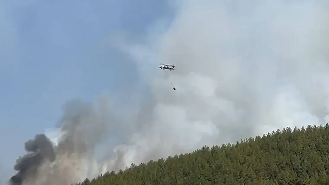 Muğla'daki yangınlara 20 hava aracıyla müdahale ediliyor