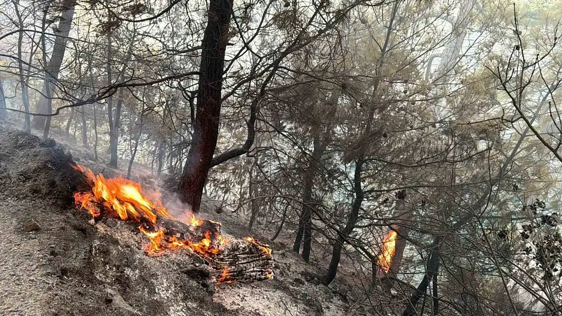 Muğla Gökova Körfezi'nde orman yangını