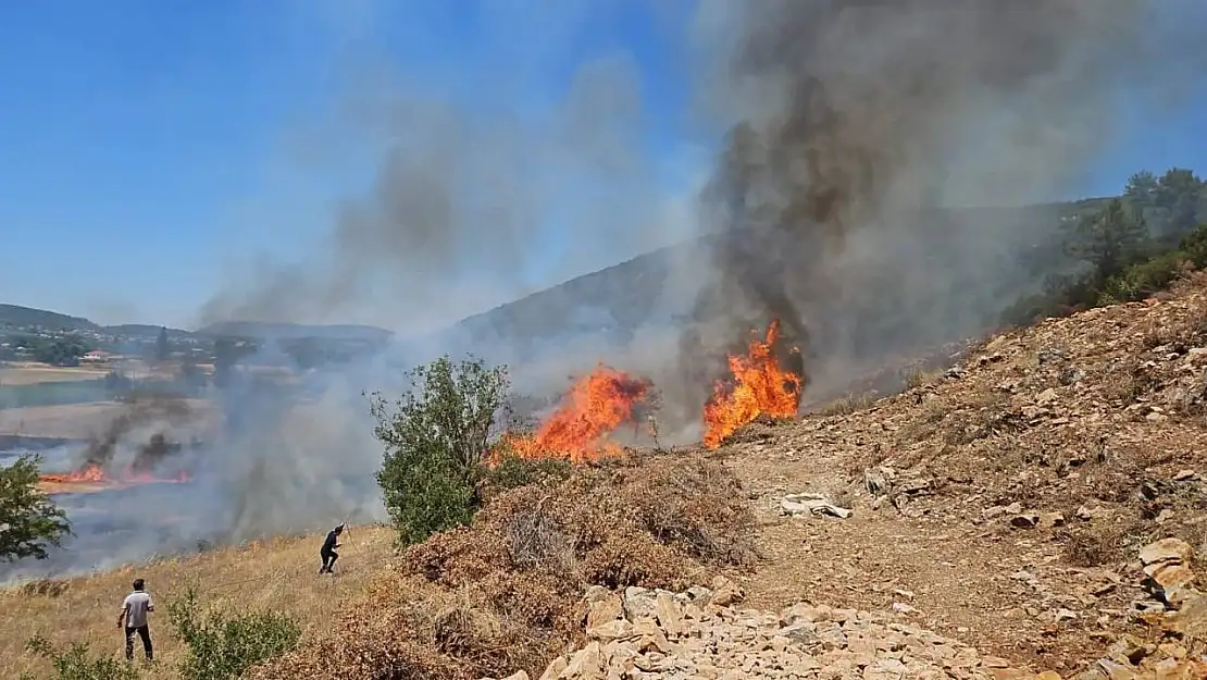 Muğla'nın Menteşe İlçesinde tarım arazisi yangını