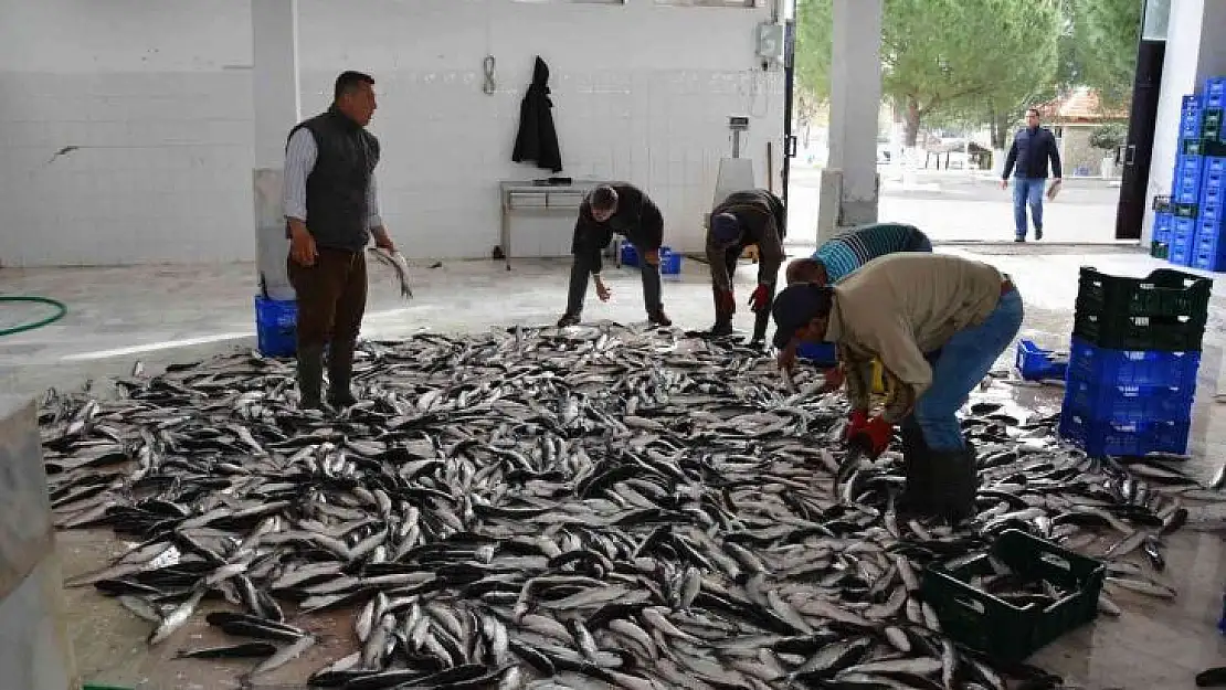 Muğla'nın Ocak ayı ihracat lideri tarım