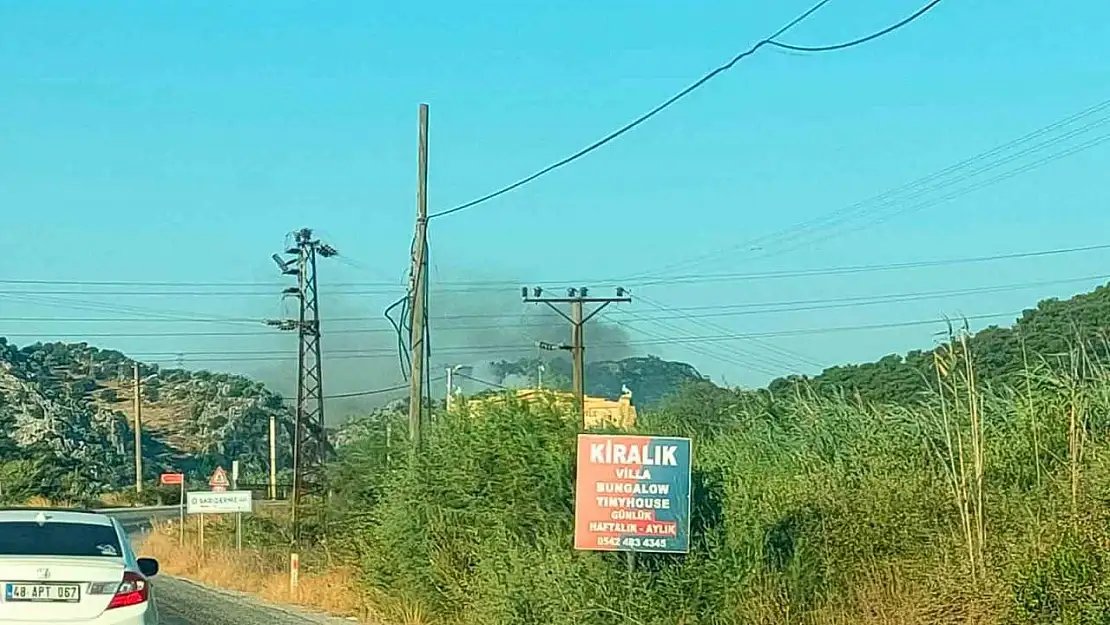 Muğla'nın Ortaca İlçesi Sarıgerme Mahallesi'nde orman yangını
