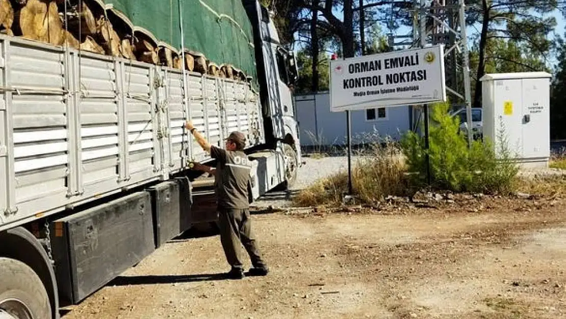 Muğla Orman Bölge Müdürlüğü denetimlerini artırdı