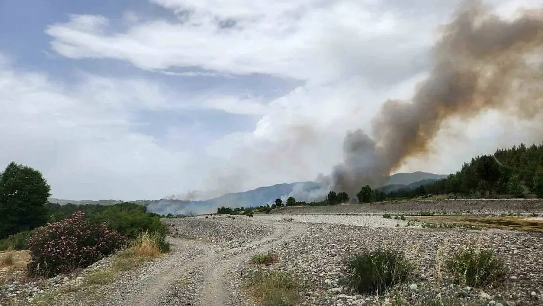 Muğla sınırında başlayan orman yangını Denizli'ye sıçradı